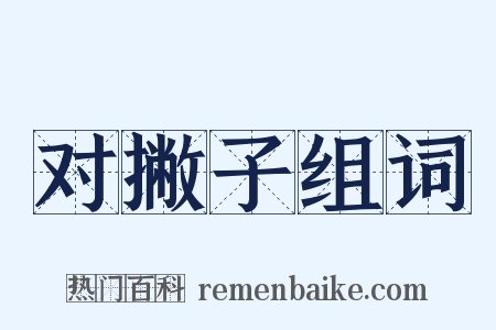 对撇子组词是什么意思的图片